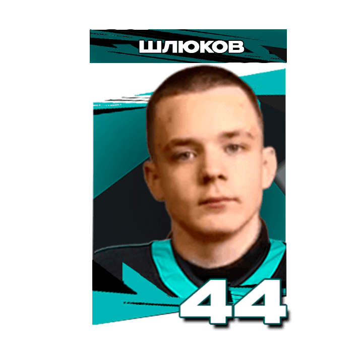 Шлюков Артемий